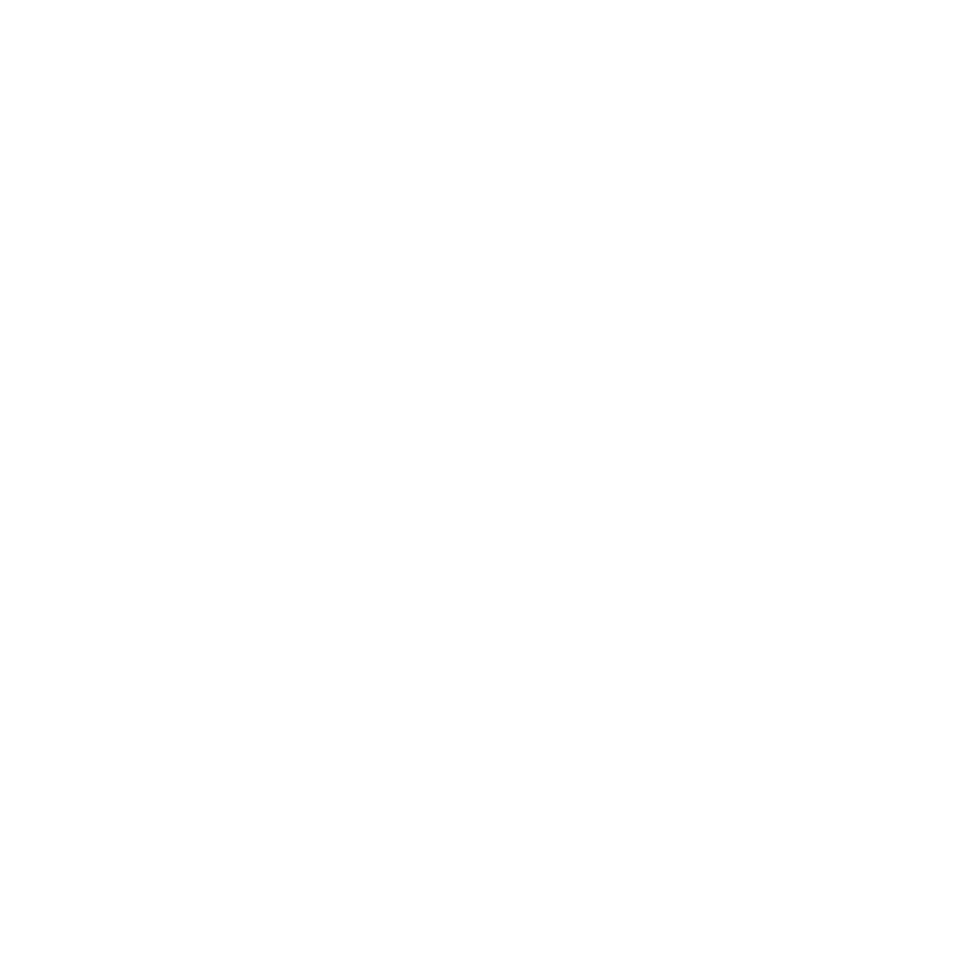 Nexus Guard logo